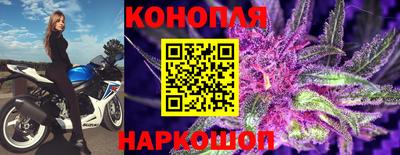 прущий лед Будённовск