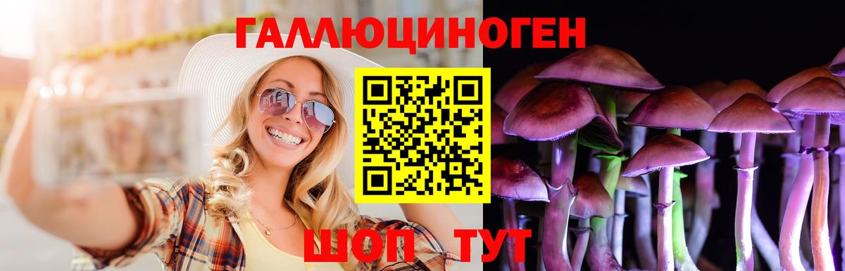 Псилоцибиновые грибы прущие грибы  Вход с VPN  Псилоцибиновые грибы Cubensis  Ликино-Дулёво 
